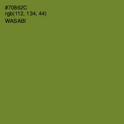 #70862C - Wasabi Color Image