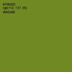 #708923 - Wasabi Color Image