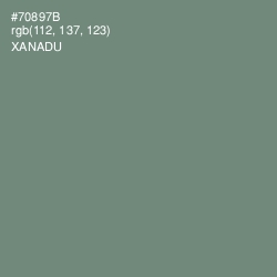 #70897B - Xanadu Color Image