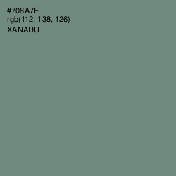 #708A7E - Xanadu Color Image