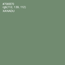 #708B70 - Xanadu Color Image