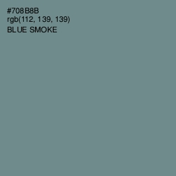 #708B8B - Blue Smoke Color Image