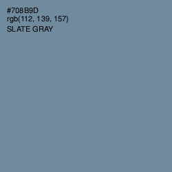 #708B9D - Slate Gray Color Image