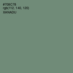 #708C78 - Xanadu Color Image