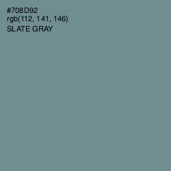 #708D92 - Slate Gray Color Image