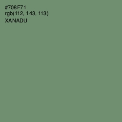 #708F71 - Xanadu Color Image