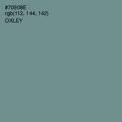 #70908E - Oxley Color Image