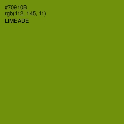 #70910B - Limeade Color Image