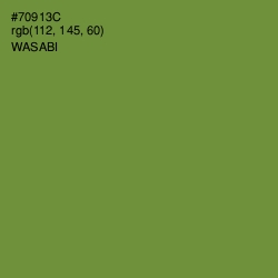 #70913C - Wasabi Color Image