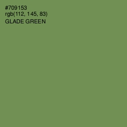 #709153 - Glade Green Color Image