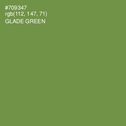 #709347 - Glade Green Color Image