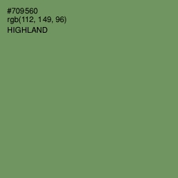 #709560 - Highland Color Image