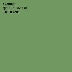 #709860 - Highland Color Image