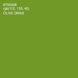 #709928 - Olive Drab Color Image