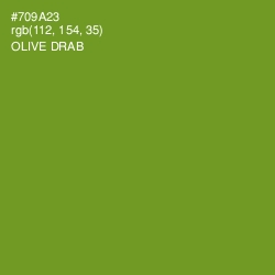 #709A23 - Olive Drab Color Image