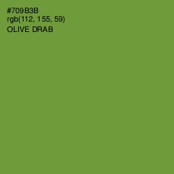 #709B3B - Olive Drab Color Image