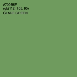 #709B5F - Glade Green Color Image