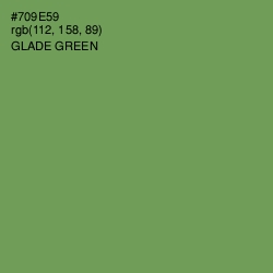 #709E59 - Glade Green Color Image