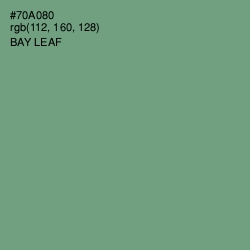 #70A080 - Bay Leaf Color Image