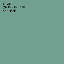 #70A08F - Bay Leaf Color Image