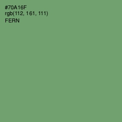 #70A16F - Fern Color Image