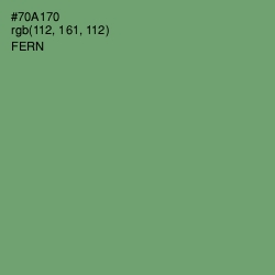 #70A170 - Fern Color Image