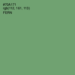 #70A171 - Fern Color Image