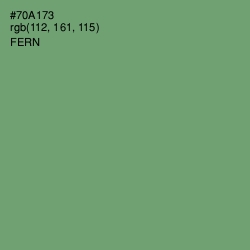 #70A173 - Fern Color Image