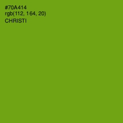 #70A414 - Christi Color Image