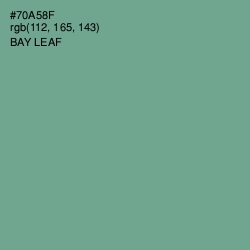 #70A58F - Bay Leaf Color Image