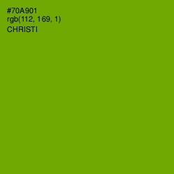 #70A901 - Christi Color Image