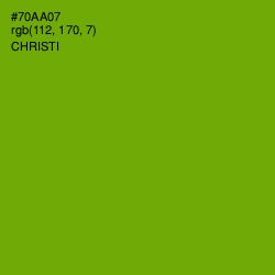 #70AA07 - Christi Color Image