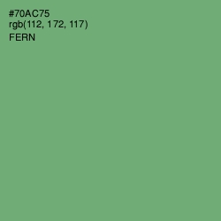 #70AC75 - Fern Color Image