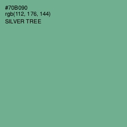 #70B090 - Silver Tree Color Image