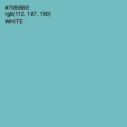 #70BBBE - Neptune Color Image