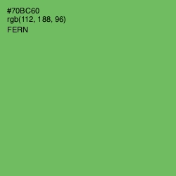 #70BC60 - Fern Color Image