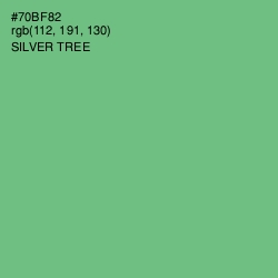 #70BF82 - Silver Tree Color Image