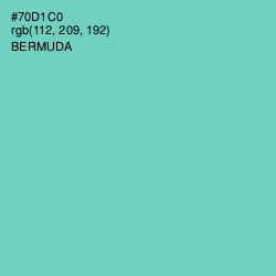 #70D1C0 - Bermuda Color Image