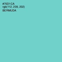 #70D1CA - Bermuda Color Image