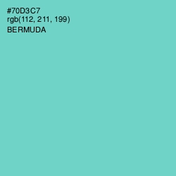 #70D3C7 - Bermuda Color Image