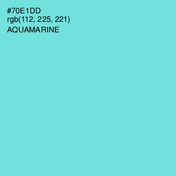 #70E1DD - Aquamarine Color Image