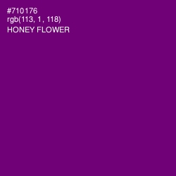 #710176 - Honey Flower Color Image