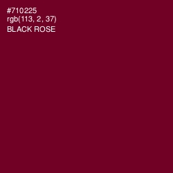 #710225 - Black Rose Color Image