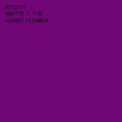 #710777 - Honey Flower Color Image