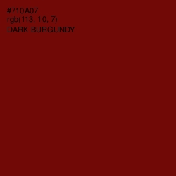 #710A07 - Dark Burgundy Color Image