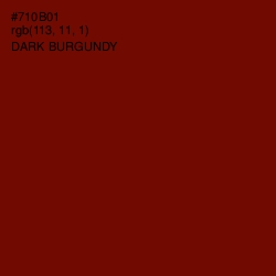 #710B01 - Dark Burgundy Color Image