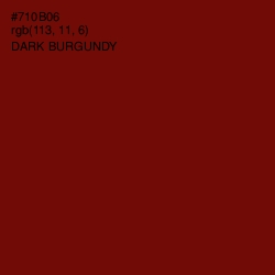 #710B06 - Dark Burgundy Color Image