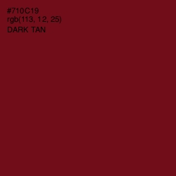 #710C19 - Dark Tan Color Image