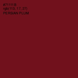 #71111B - Persian Plum Color Image