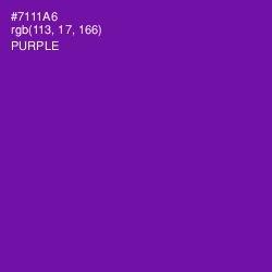 #7111A6 - Purple Color Image